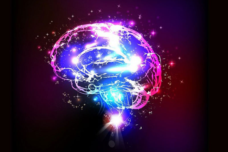 What-Causes-Epilepsy-Smithtown-NY